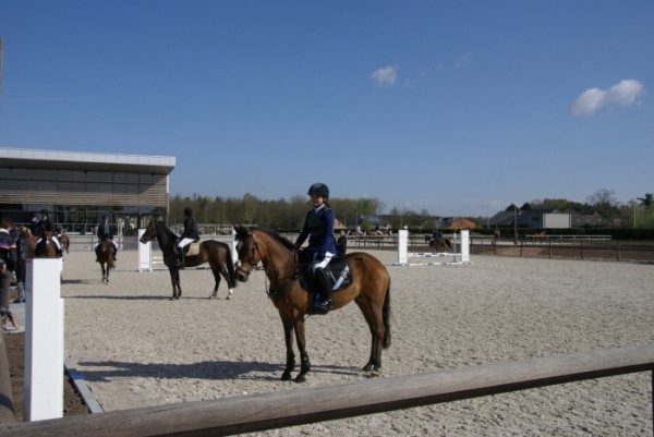 Training voor paarden en pony's
