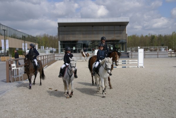 Training voor paarden en pony's